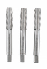 Z�vitn�k sadov� Alpen Hss M8